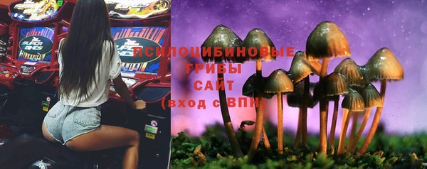 бошки Костерёво