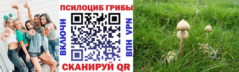 Купить где  Нижняя Салда  Псилоцибиновые грибы мухоморы 